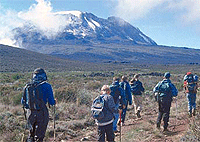 Mount Kilimanjaro 1 Day Hike (Marangu Route) Full Day Trip – Tanzania