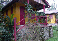 Busambuli Eco Lodge, Kakamega Rainforest – Kakamega