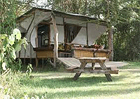 Camp Carnelley's – Naivasha