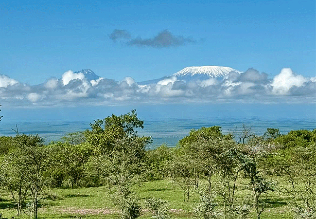 campi-ya-kanzi-camp-luxury-tented-safari-camp-mt-kilimanjaro Campi ya Kanzi Camp Chyulu Hills Tsavo West National Park Kenya