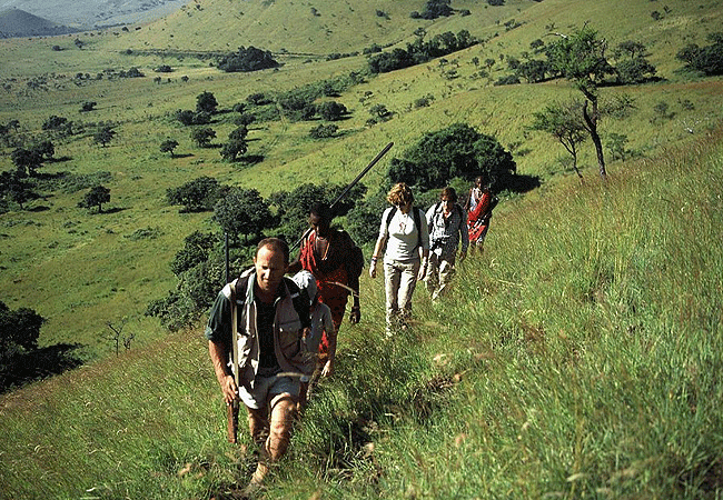 campi-ya-kanzi-camp-luxury-tented-safari-camp-offers-wonderful-walks-through-the-savanna Campi ya Kanzi Camp Chyulu Hills Tsavo West National Park Kenya