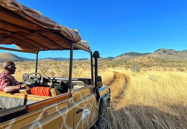 campi-ya-kanzi-camp-luxury-tented-safari-camp-safari-game-drive Campi ya Kanzi Camp Chyulu Hills Tsavo West National Park Kenya