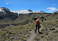Mount Kenya Climb 1 Day Hike Chogoria Route