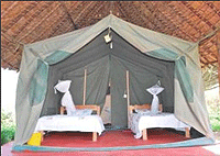 Destiny Eco Camp Mara, Ololaimutia Gate, Masai Mara Game Reserve