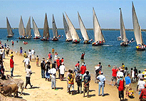 Lamu Cultural Festival Dhow Race Competition Tour