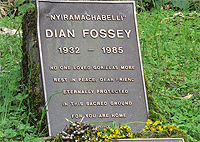 Dian Fossey’s Grave 1 Day Trek Volcanoes National Park– Rwanda