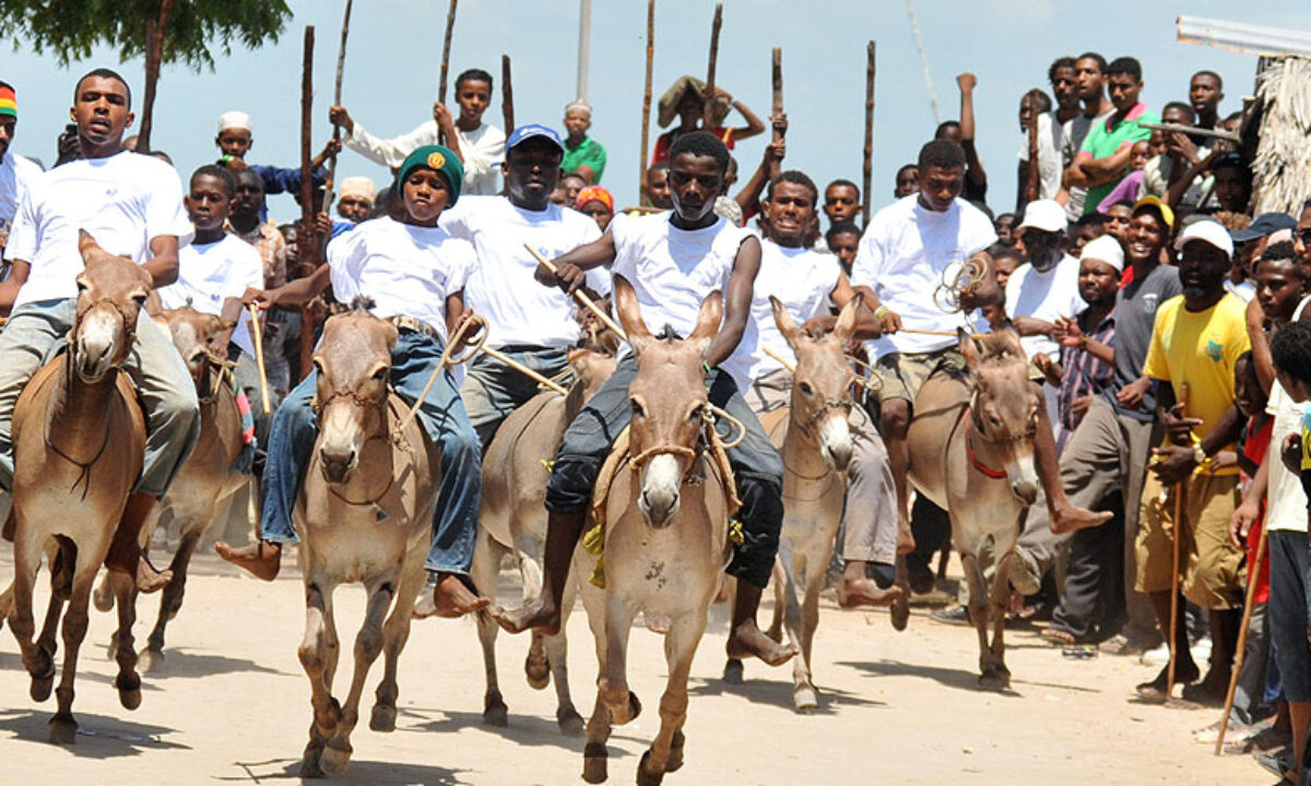 Donkey Race Lamu Cultural Festival Day Tour | Lamu Day Tours Excursion