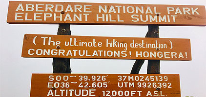 Elephant Hill Aberdare National Park Nairobi 1 Day Tour