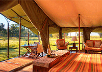 Elephant Pepper Camp, Mara North Conservancy, Masai Mara National Reserve