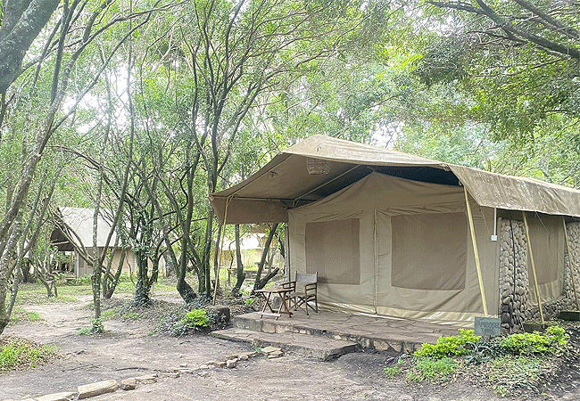 Enchoro Wildlife Camp Masai Mara