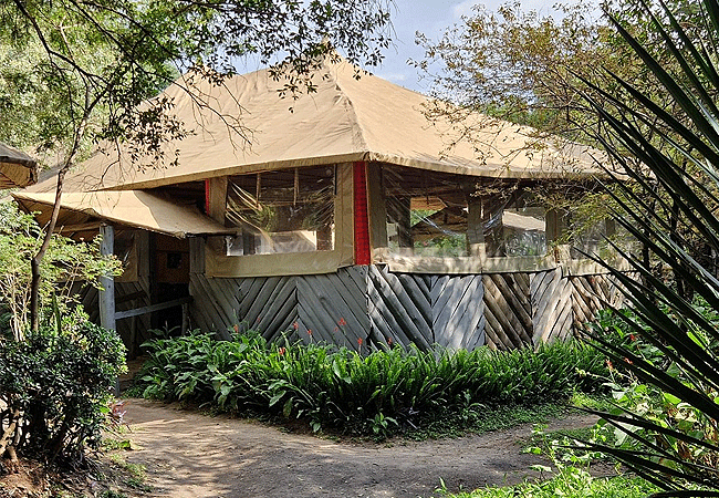 Enchoro Wildlife Camp Masai Mara