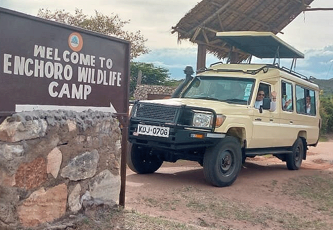 Enchoro Wildlife Camp Masai Mara