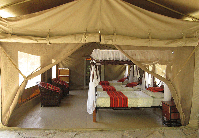 Enchoro Wildlife Camp Masai Mara