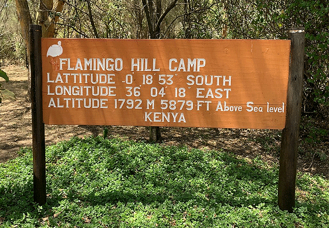flamingo-hill-tented-camp-lake-nakuru-national-park-3-hours-drive-from-nairobi Flamingo Hill Tented Camp Lake Nakuru
