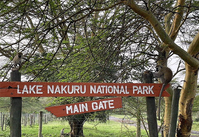 flamingo-hill-tented-camp-lake-nakuru-national-park-main-gate-sign Flamingo Hill Tented Camp Lake Nakuru National Park Kenya
