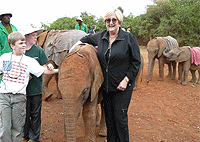David Sheldrick Elephant Orphanage Giraffe Centre Nairobi Tour 