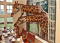 Giraffe Manor Hotel, Karen – Nairobi