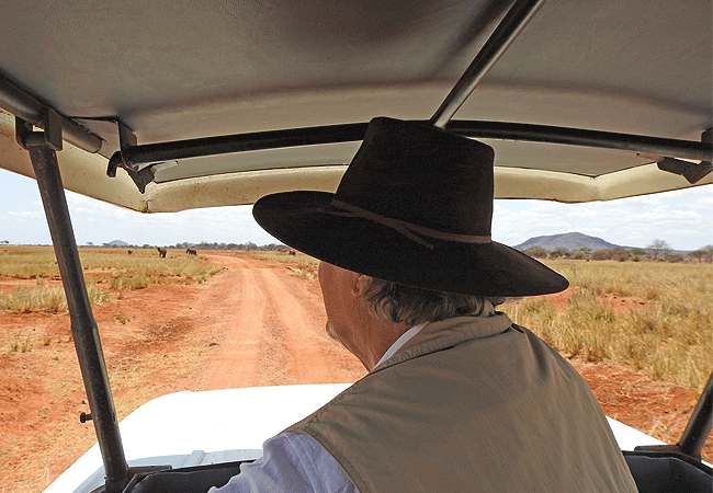 Grogan's Castle Hotel, Tsavo West National Park