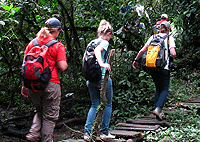 Kakamega Rainforest Day Tour from Kisumu – Kenya