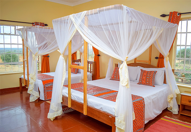 kamboyo-guest-house-twin-room Kamboyo Guest House