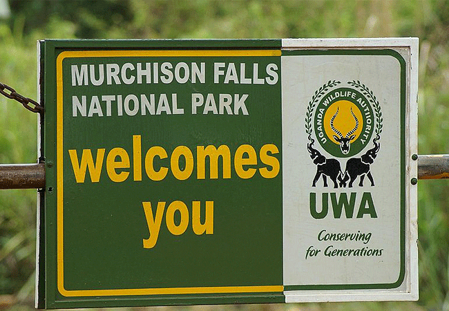 Kampala Day Tours 1 Day Murchison Falls National Park Safari