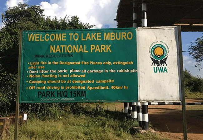 Kampala Day Tours 1 day Lake Mburo National Park (Kampala) Tripadvisor https://www.tripadvisor.com › AttractionProductReview... 1 day Lake Mburo park is home to over 68 mammal species such as buffaloes, bush pigs, leopards, and zebras as well as various bird species. 1 day lake mburo national park from www.tripadvisor.com Kampala 1 Day Tour Lake Mburo National Park African Spice Safaris https://africanspicesafaris.com › Tour Kampala 1 Day Tour Lake Mburo National Park is a 1 Day Wildlife Safari from Kampala to Lake Mburo National Park for a Game drive, boat ride on Lake Mburo. 1 day lake mburo national park from africanspicesafaris.com 1 day—Lake Mburo National Park Your African Safari https://www.yourafricansafari.com › tours › 1-day-lake... 1 Day Lake Mburo tour, Mini safari to Lake Mburo National Park. Lake Mburo National Park habours several species not observed elsewhere in Uganda. 1 day Lake Mburo National park Safari