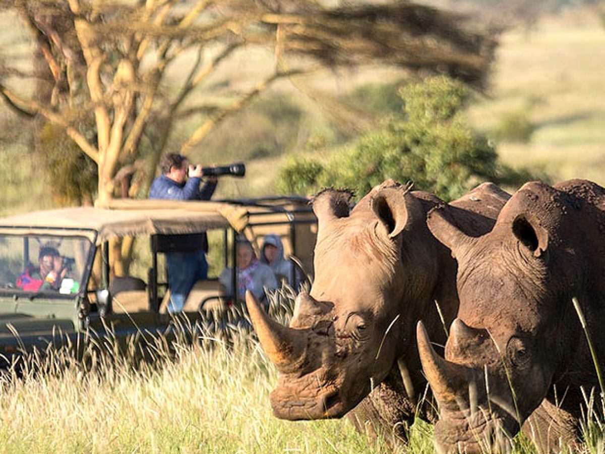 Kenya Safari Tours by road ranging from 2 Days to 14 Days