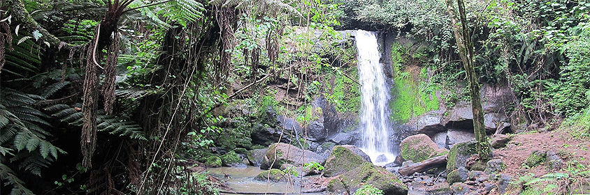 Kereita Forest Caves Waterfalls Nairobi Day Hiking Tour