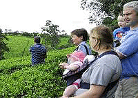 Kiambethu Tea Farm Limuru Nairobi Day Tour – Kenya