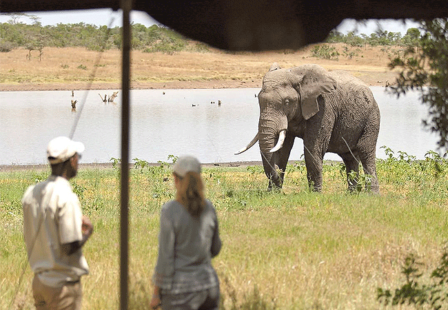 Kicheche Laikipia Ol Pejeta Conservancy