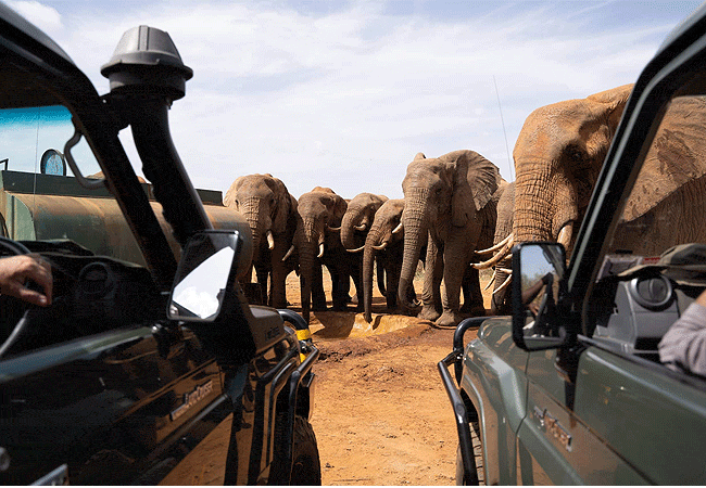 kipalo-hills-lodge-mbulia-conservancy-tsavo-west-natonal-park-game-drive-watching-elephants Kipalo Hills Lodge Mbulia Conservancy Tsavo West National park