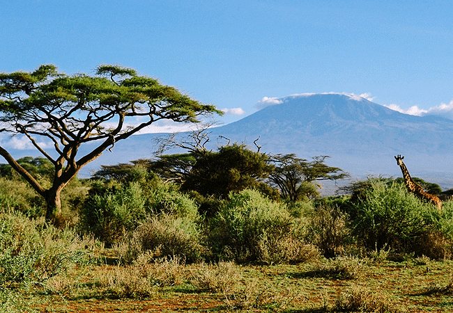 kitani-bandas-tsavo-west-national-park-mt-kilimanjaro-view Kitani Bandas Tsavo West National Park