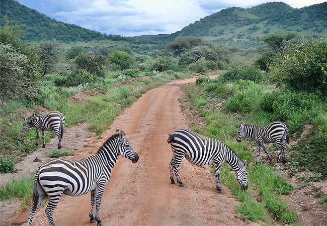 kitani-bandas-tsavo-west-national-park-road-to-the-self-catering-cottage Kitani Bandas Tsavo West National Park