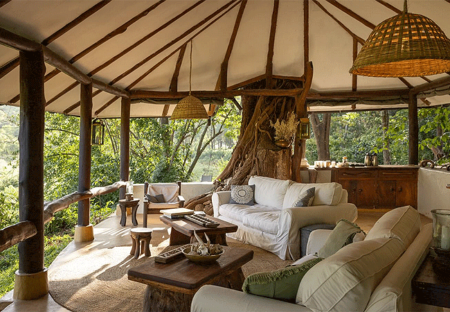 kitich-forest-camp-mathews-range-samburu-is-low-key-classic-tented-camp-located-on-the-forest-on-the-upper-slopes-of-the-mathews-mountains-with-8-tents-situated-under-a-dense-tree-canopy Kitich Forest Camp Mathews Range Samburu Northern Kenya