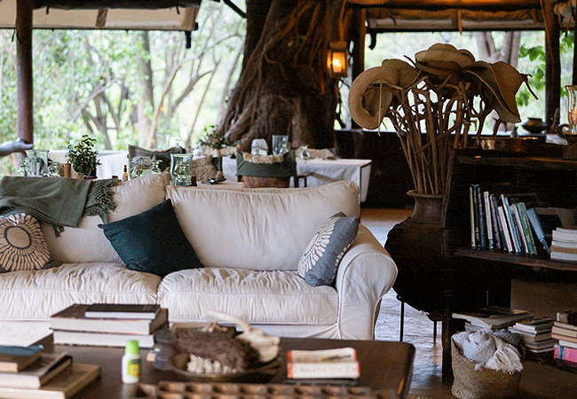 kitich-forest-camp-mathews-range-samburu-region-of-northern-kenya-is-luxury-getaway-where-you-explore-the-virgin-forest-by-foot Kitich Forest Camp Mathews Range Samburu Northern Kenya