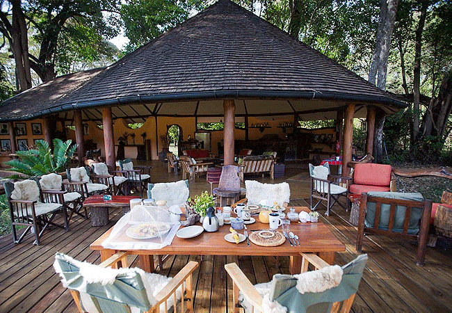 kitich-forest-camp-mathews-range-samburu-region-of-northern-kenya-sunny-morning-brunch-on-the-veranda Kitich Forest Camp Mathews Range Samburu Northern Kenya