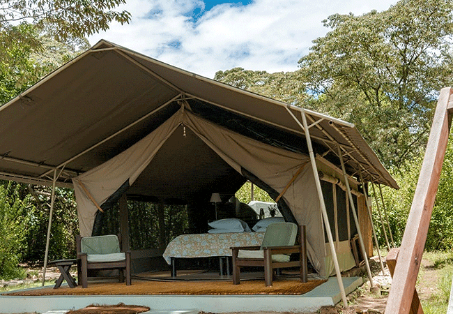kitich-forest-camp-mathews-range-samburu-tents-offer- peaceful-nights-under-8-traditional-canvas-tents-en-suite-tents-offering-all-the-rustic-charm-of-an-original-safari-experience Kitich Forest Camp Mathews Range Samburu Northern Kenya