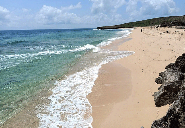 Kiunga Marine National Reserve Lamu Day Trip