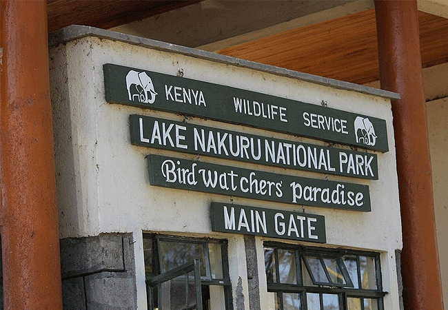 lake-nakuru-national-park-day-tour-from-nairobi-lanet-gate-is-the-main-gate-entrance-to-lake-nakuru-national-park-located-4-km-from-nakuru-town Lake Nakuru National Park Day Tour from Nairobi