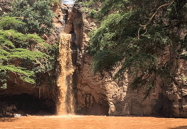 lake-nakuru-national-park-day-tour-from-nairobi-makalia-falls Lake Nakuru National Park Day Tour from Nairobi