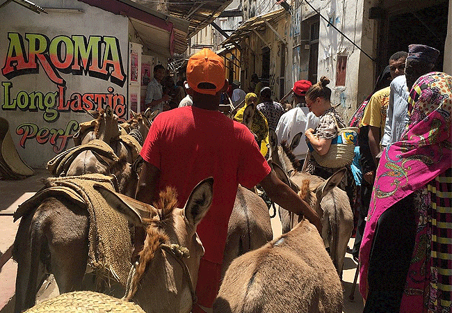 Lamu Island Day Tours Tours