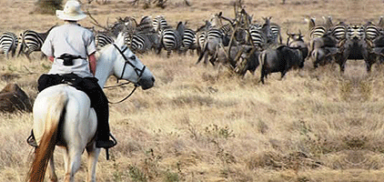 Tanzania Horseback Riding Day Tour Makoa Farm Moshi
