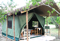 Mara Kima Camp