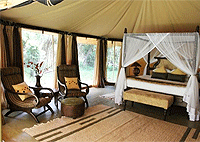 Instinct of the Mara Camp – Maasai Mara National Reserve
