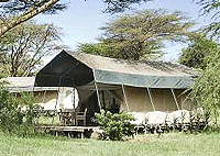 Mara Porini Camp, Ol Kinyei Conservancy – Masai Mara Game Reserve