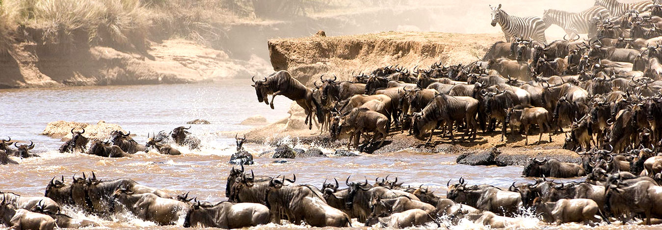 masai mara safari 2 days