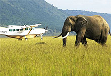 2 Days 1 Night Masai Mara Game Reserve Fly-in Safari Package from Nairobi