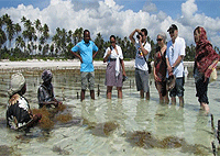 Matemwe Village Day Tour – Zanzibar Island