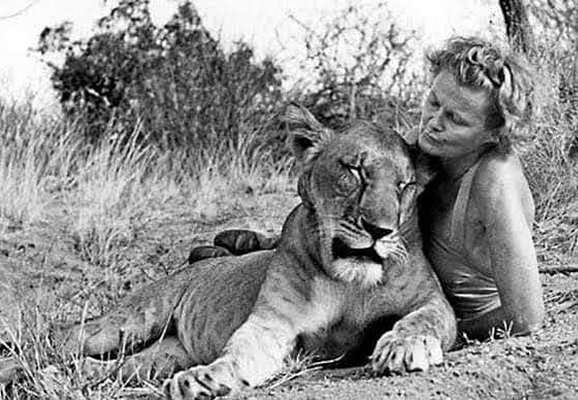 meru-national-park-2-days-1-night-road-safari-Joy-adamson Meru National Park 2 Days 1 Night Road Safari