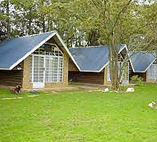 Mianzi Camp - Nanyuki